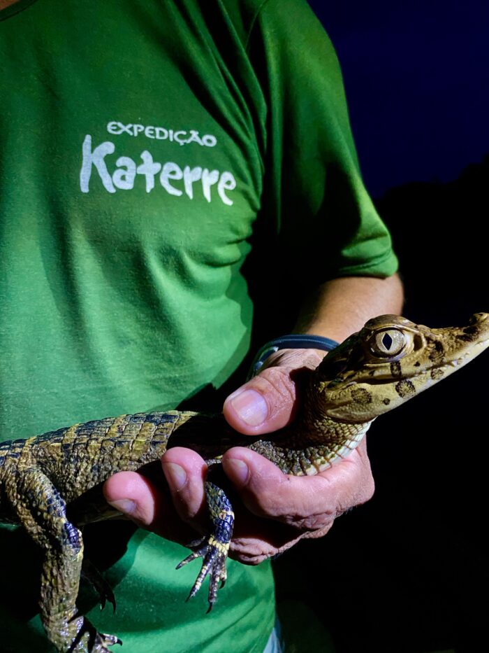 expedição-aterre-anavilhanas-amazônia-42