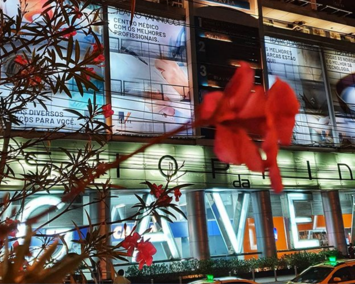 Foto do exterior do shopping da Gávea desfocado atrás de uma flor vermelha em destaque. O shopping tem letreiros luminosos com várias mensagens